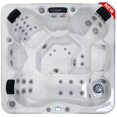 Avalon-X EC-849LX hot tubs for sale in San Francisco